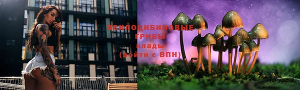 соль ск Елизово