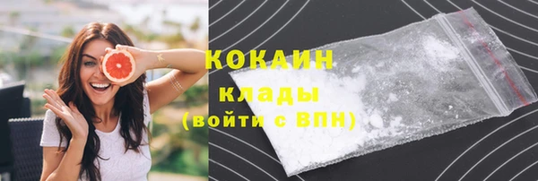 соль ск Елизово