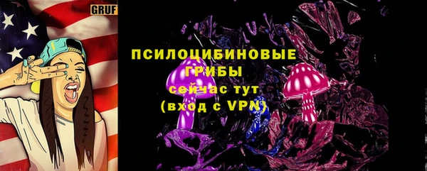 соль ск Елизово